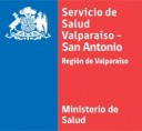 Logo-SSVSA-2011-300x271